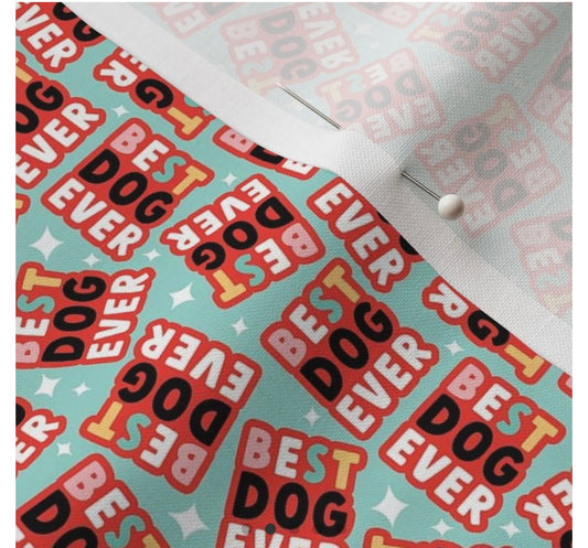 Normal Dog Leash-ONLY