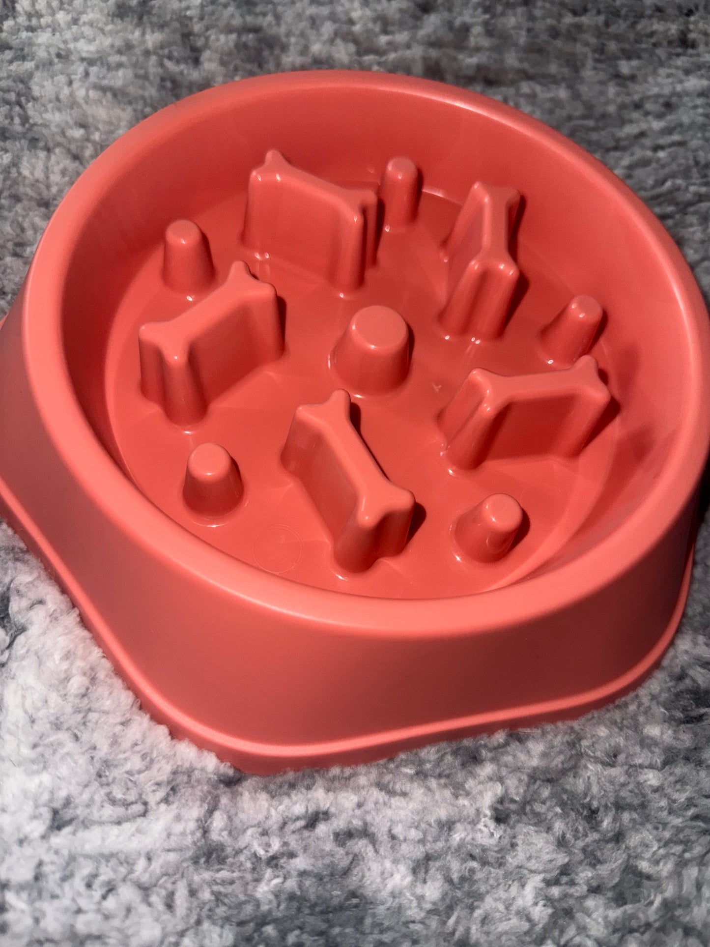 Bones Slow Feeder Bowl