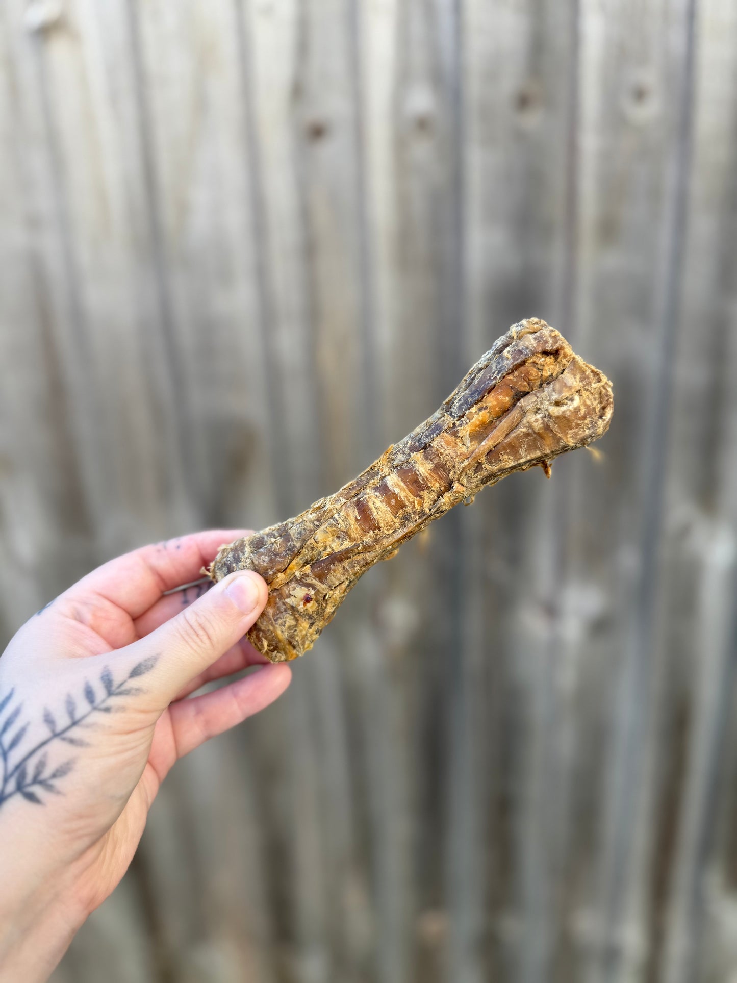 Buffalo Trachea Bone