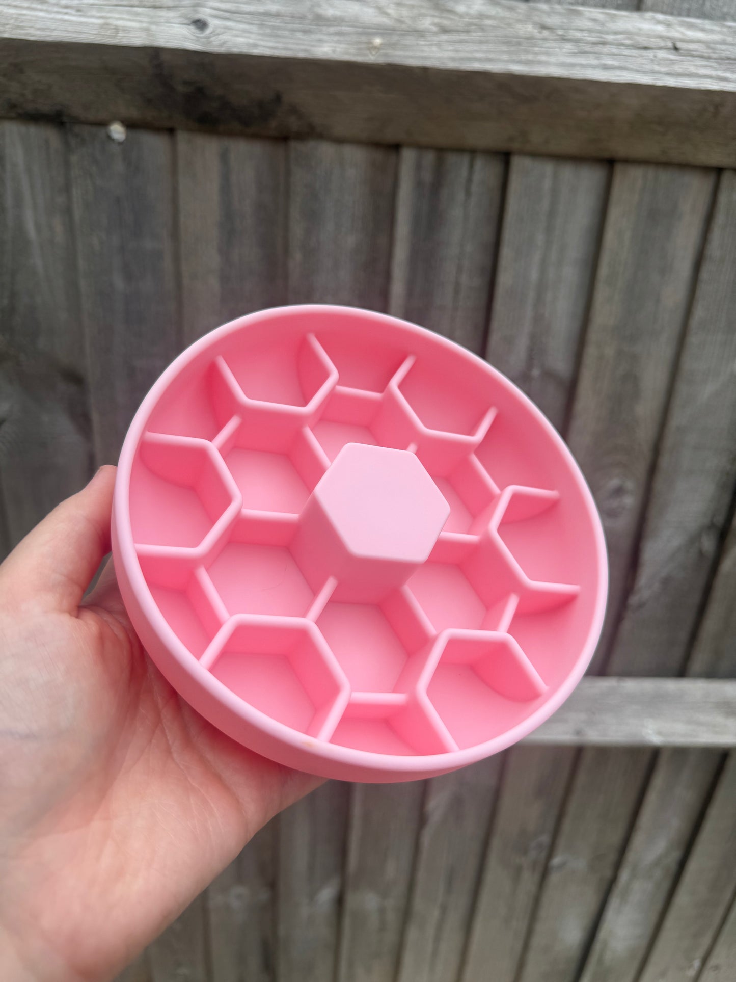‘Cast a Hex’ Mini Enrichment Bowl
