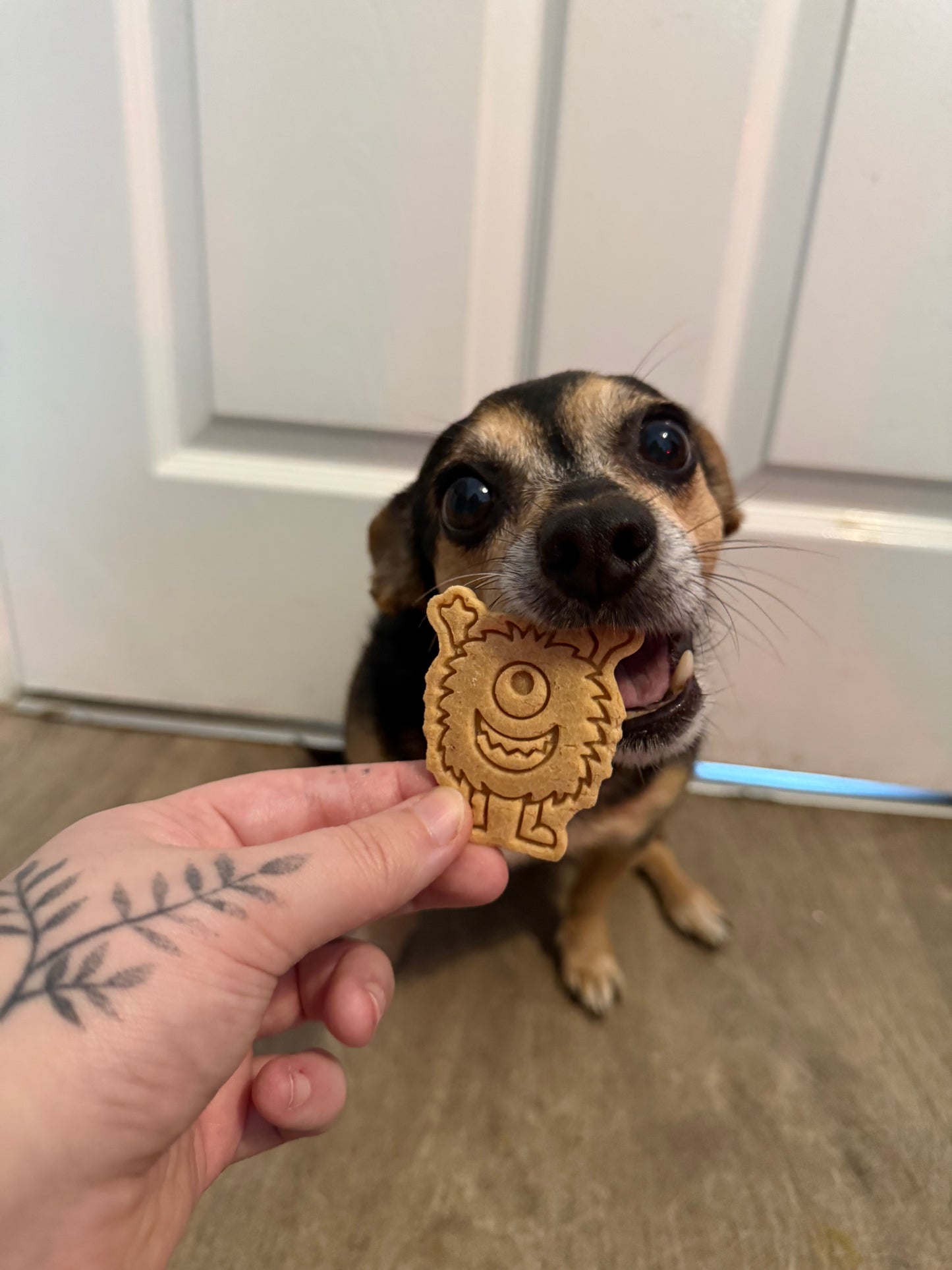 Peanut Butter Biscuits - Please Choose Your Colour&Design
