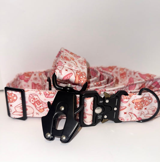 Wider Dog Collar & Leash SET