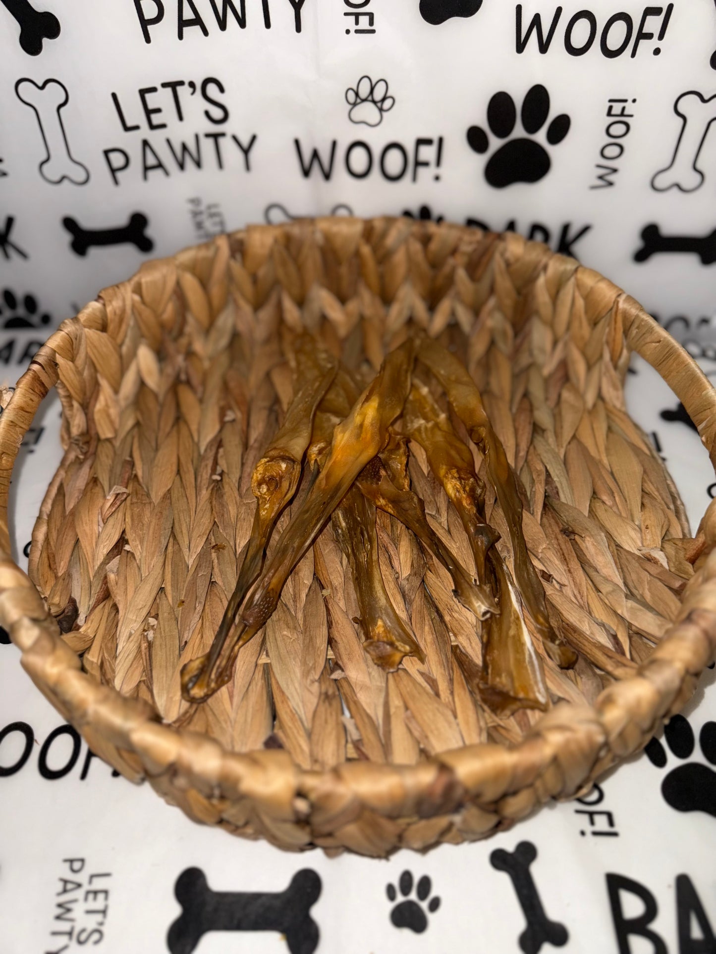 Hairless Rabbit Ears