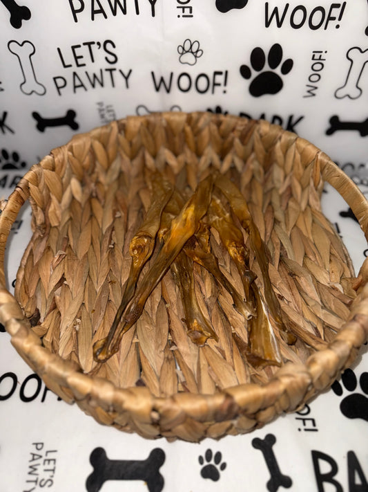 Hairless Rabbit Ears