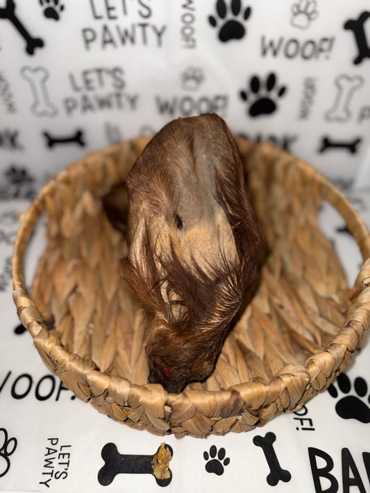 Cow Ear With Hair (Large)