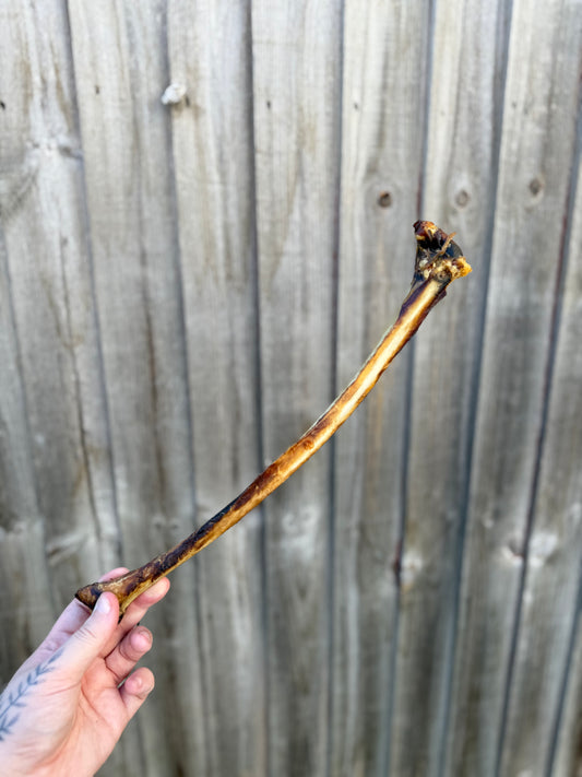 Ostrich Wing