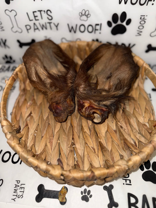 Cow Ear With Hair (Large)