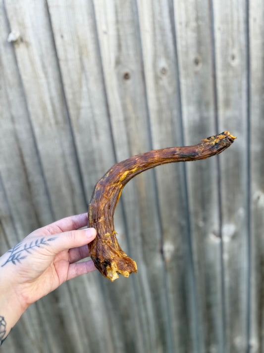 Turkey Neck