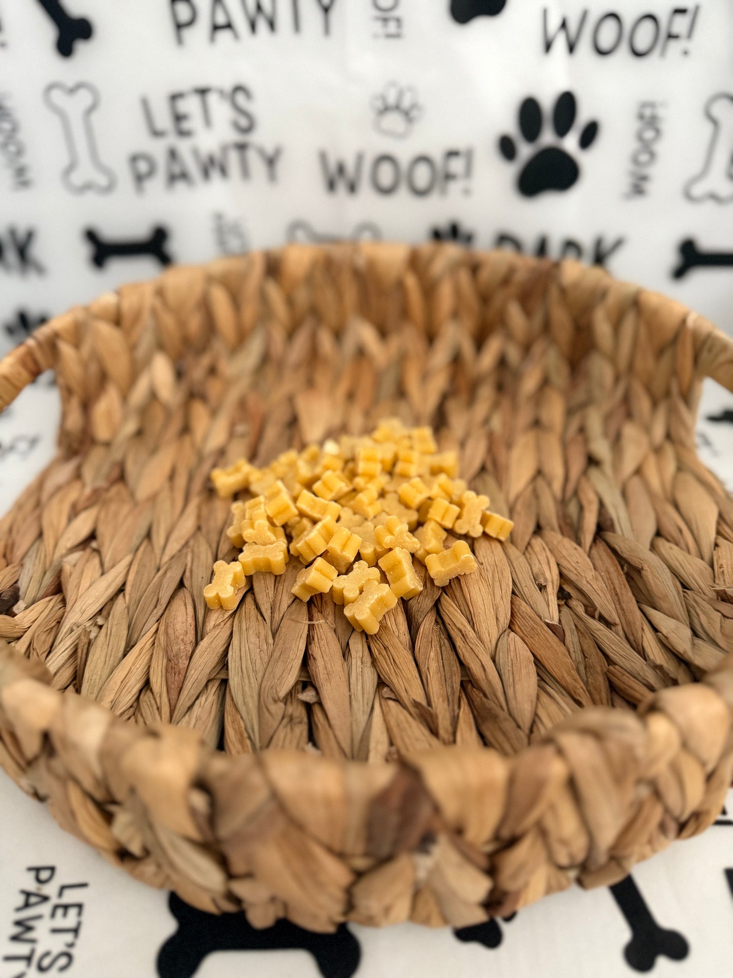 Cheese Training Bones