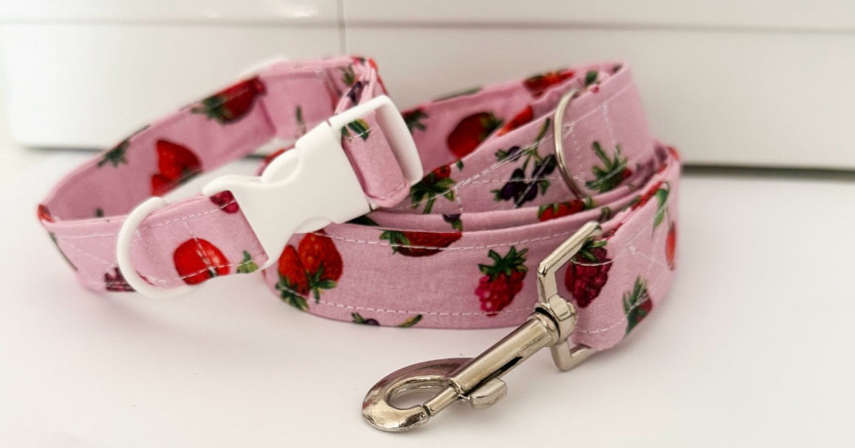 Normal Dog Collar-ONLY