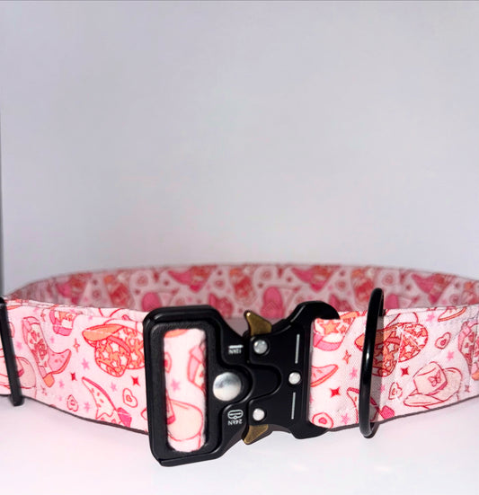 Wider Dog Collar & Leash SET