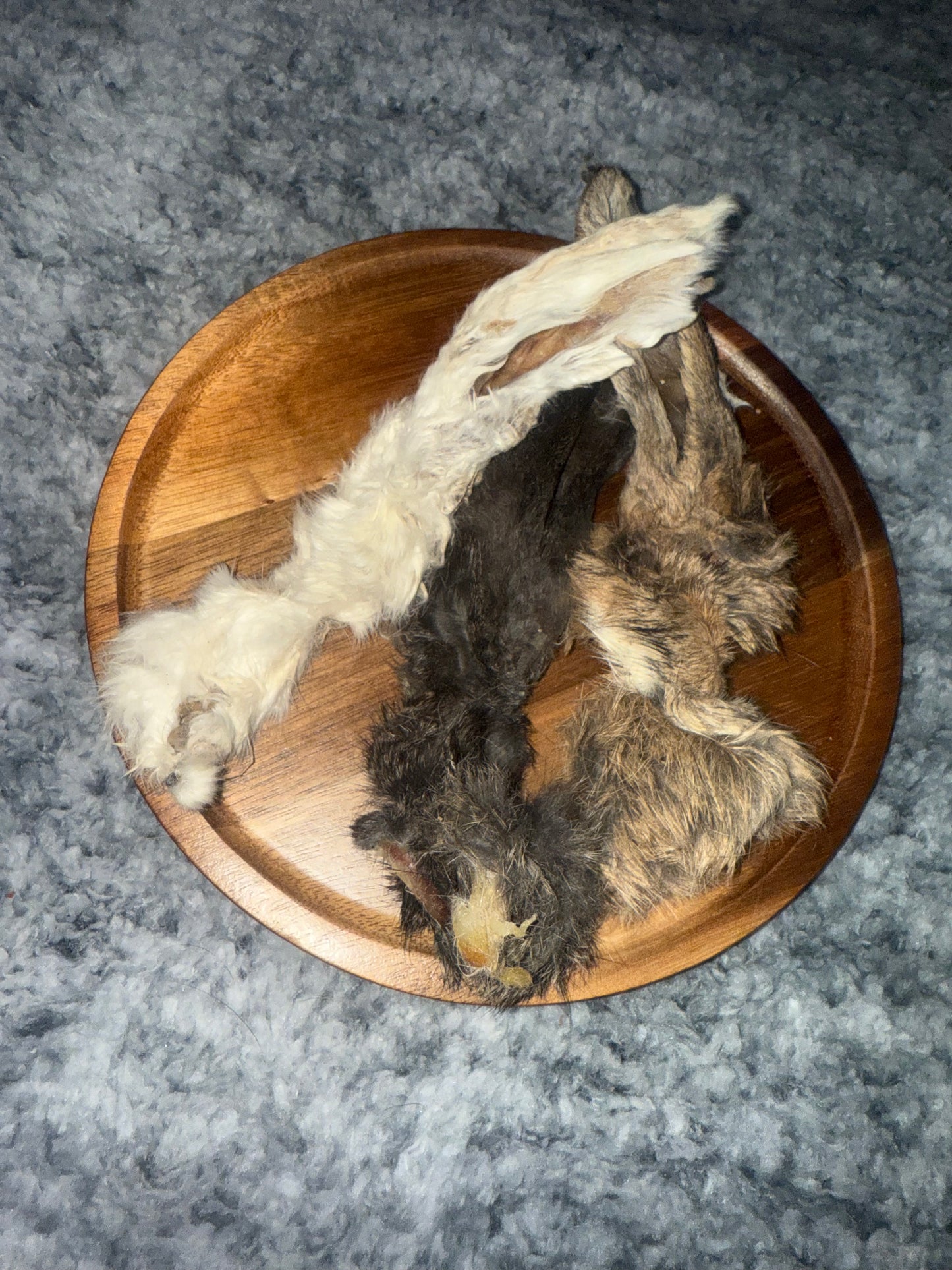 Hairy Rabbit Ear