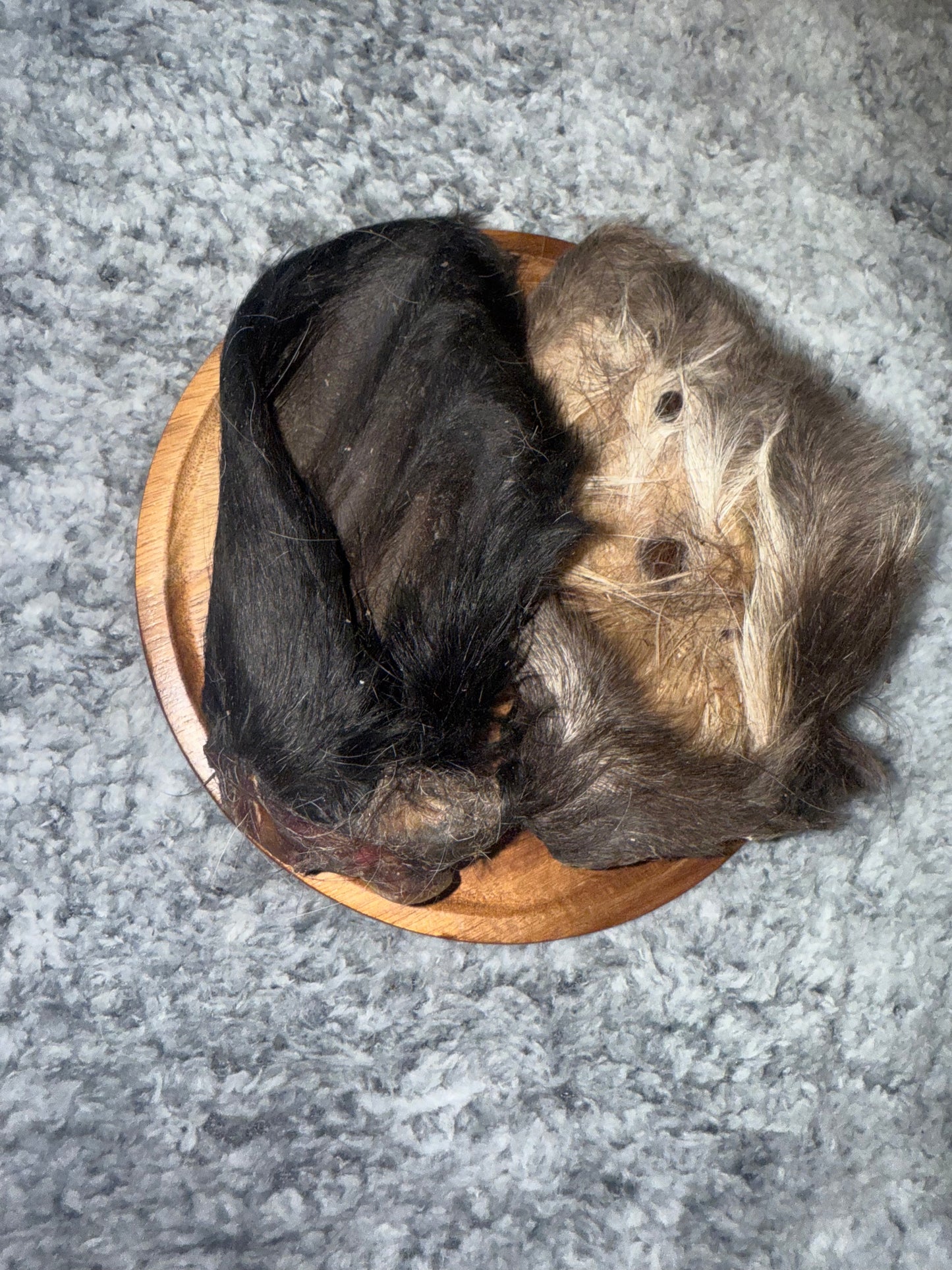 Cow Ear With Hair (Large)