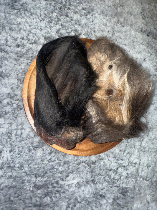 Cow Ear With Hair (Large)