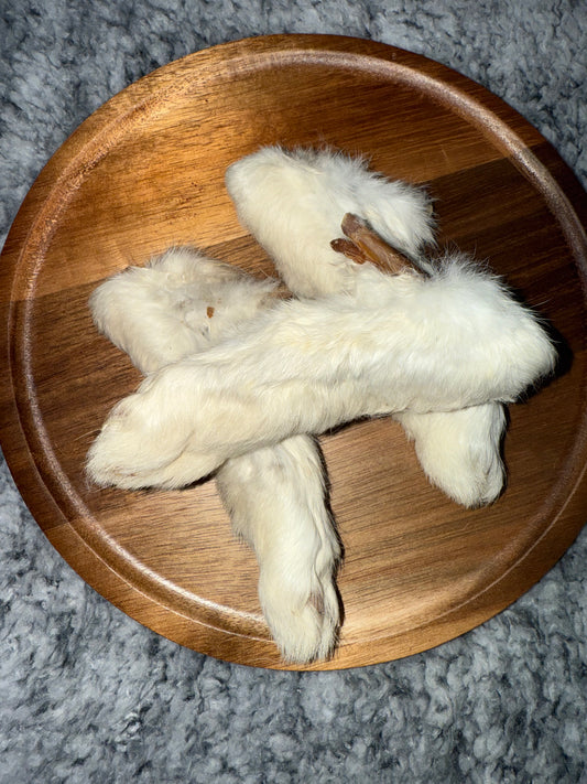 Hairy Rabbit Foot
