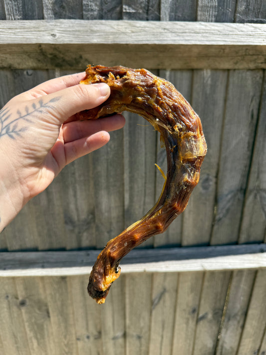 Turkey Neck