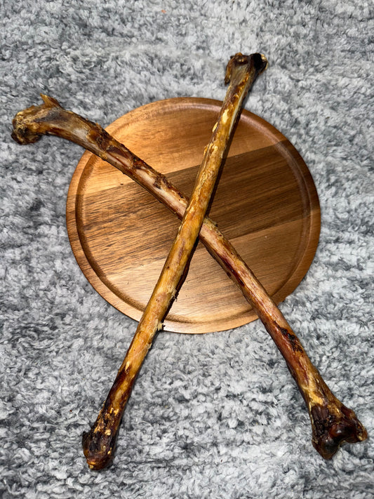 Ostrich Wing
